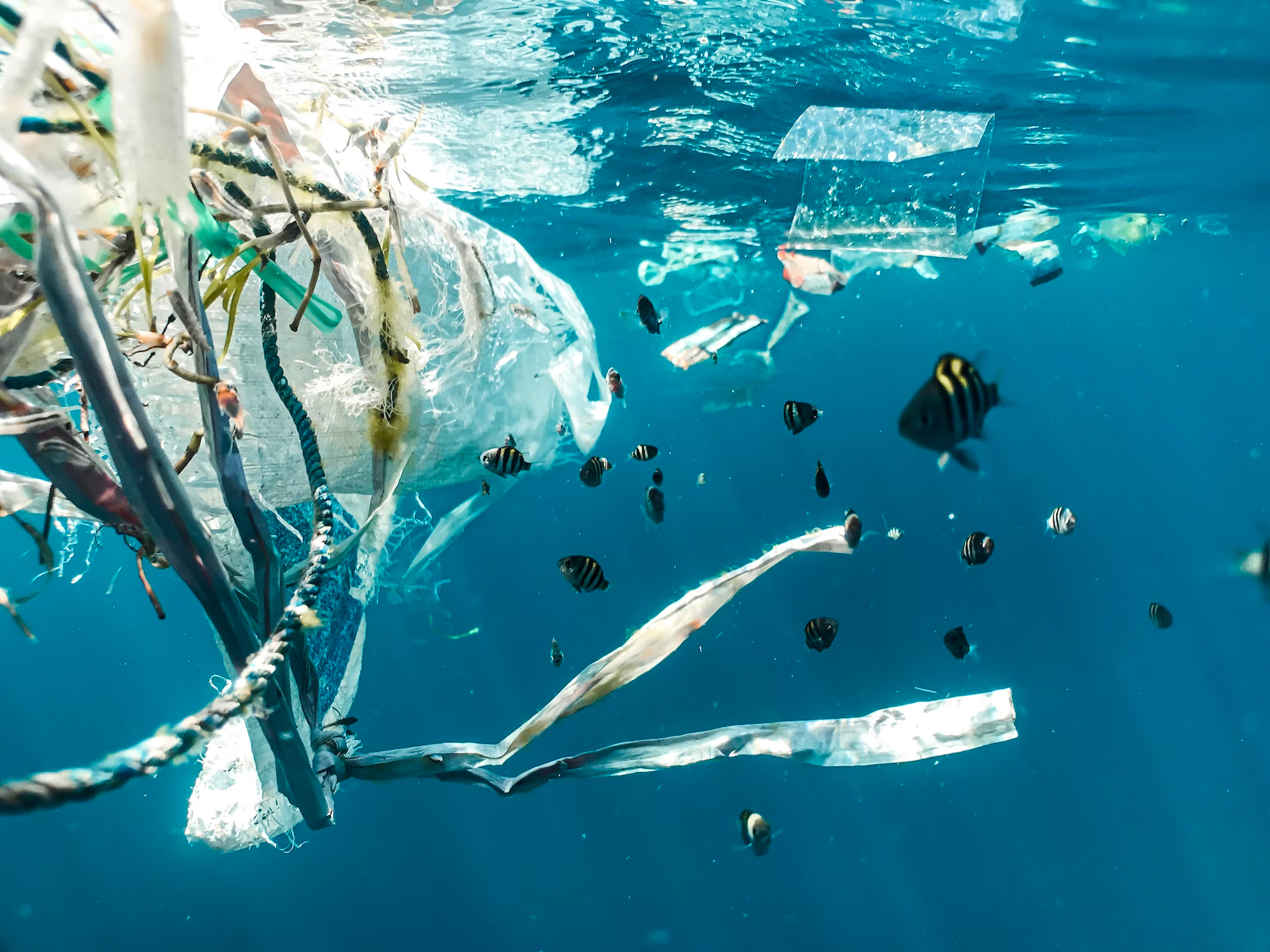 Ocean littered wth plastic